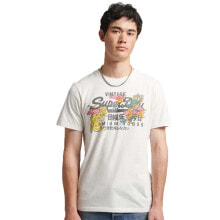 Men's sports T-shirts and T-shirts