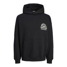 JACK & JONES Mykonos Type Hoodie