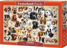 Puzzles for children