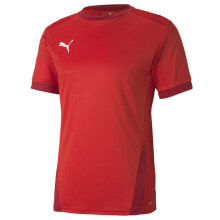 Puma Teamgoal 23 Jersey Mens Size S Athletic Casual 704171-01 купить онлайн