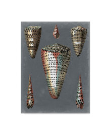 Trademark Global pierre Redoute Midnight Shells II Canvas Art - 20