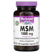 Глюкозамин, Хондроитин, МСМ bluebonnet Nutrition, МСМ, 1000 мг, 120 растительных капсул