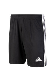 Men's Sports Shorts