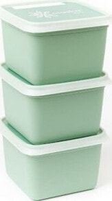 Containers and lunch boxes