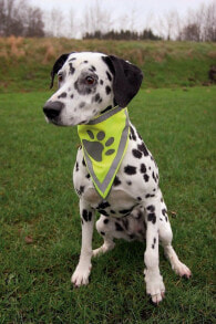 TRIXIE 30123 шарф безопасности для собак L/XL Полиэстер Зеленый, Желтый