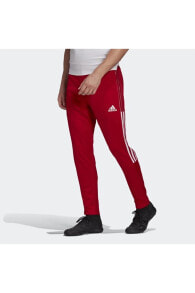 Men's Sweatpants