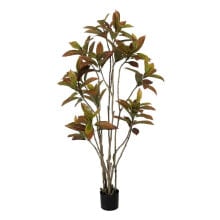 Decorative Plant Rubber polypropylene 60 x 60 x 150 cm