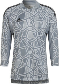 Купить мужские спортивные футболки и майки Adidas Teamwear: Adidas Teamwear Condivo Gk 22 Jersey Ls Light Grey