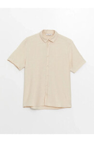 Men's Shirts