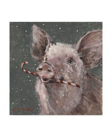 Trademark Global mary Miller Veazie 'Teri The Christmas Pig' Canvas Art - 14
