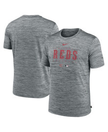 Nike men's Heather Gray Cincinnati Reds Authentic Collection Velocity Performance Practice T-shirt