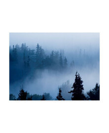 Trademark Global james Mcloughlin Misty Mountains XV Canvas Art - 15