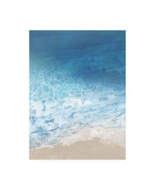 Trademark Global victoria Borges Ebb and Flow I Canvas Art - 20