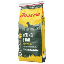 Fodder Josera Young Star Kid/Junior 15 kg