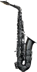 Selmer Alt Sax Supreme 