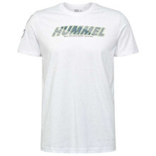 Men's sports T-shirts and T-shirts