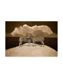 Trademark Global monte Nagler Two Zebras Port Austin Mi Canvas Art - 20