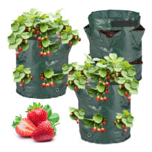 Pflanzsack Erdbeeren 3er Set