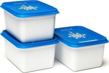 Containers and lunch boxes