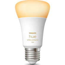 Light bulbs