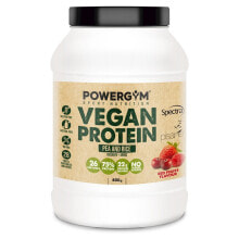 Растительный протеин POWERGYM Vegan Protein  Red Fruits Растительный протеин со вкусом красных фруктов 800 г