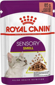 Royal Canin ROYAL CANIN Sensory Smell Gravy 85g Mokra Karma Dla Kotów Wybrednych