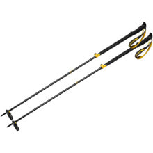 Nordic walking sticks and trekking poles