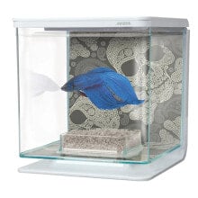 MARINA Betta Skull aquarium kit