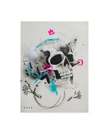 Trademark Global taka Sudo Skull Bold Color 1 Canvas Art - 27