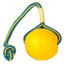 STARMARK Swing & Fling Durafoam Fetch Ball On A Rope