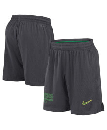 Nike men's Anthracite Oregon Ducks 2024 Sideline Mesh Shorts