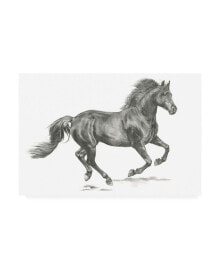 Trademark Global jennifer Paxton Parker Wild Horse Portrait II Canvas Art - 37