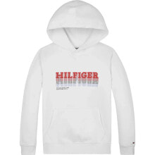 TOMMY HILFIGER Fade Hoodie