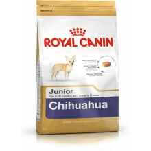 Купить сухие корма для собак Royal Canin: Сухой корм Royal Canin Breed Chihuahua Junior Юниор 1,5 кг