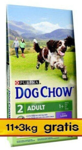 Dry dog food