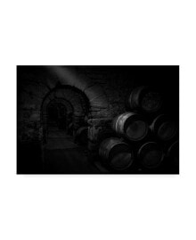 Trademark Global martin Zalba Wine Cellar Canvas Art - 15