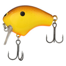 Baits and jigs for fishing