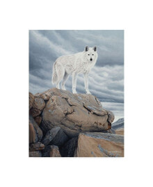 Trademark Global ron Parker 'White Wolf' Canvas Art - 24