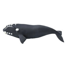 SAFARI LTD Right Whale Figure