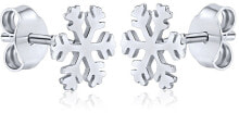 Ювелирные серьги silver earrings Snowflakes ZTJE52502