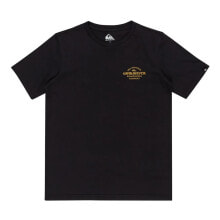 Men's sports T-shirts and T-shirts