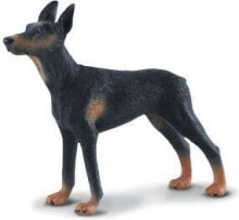 Collect figurine Doberman dog (004-88086)