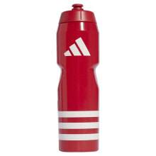 Sports Water Bottles