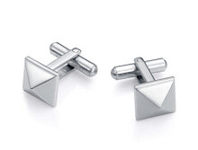 Cufflinks and clips Viceroy
