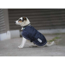 Купить одежда и обувь для собак DIEGO & LOUNA: DIEGO & LOUNA 600 D Dog Jacket