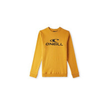 Купить детские спортивные толстовки для мальчиков ONeill: O'Neill Logo Crew Jr Sweatshirt 92800615021