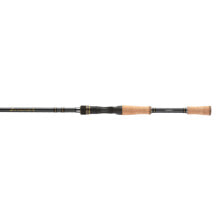 Shimano INTENZA CASTING A, Freshwater, Bass, Casting, 7'0