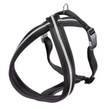 FERPLAST Daytona Cross L Harness