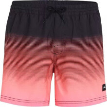 Men's Sports Shorts