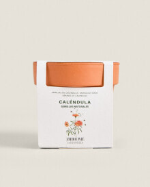 Marigold flower garden seed pot kit